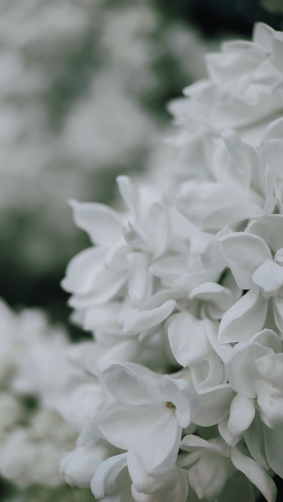 Photograph by Ирина Львова