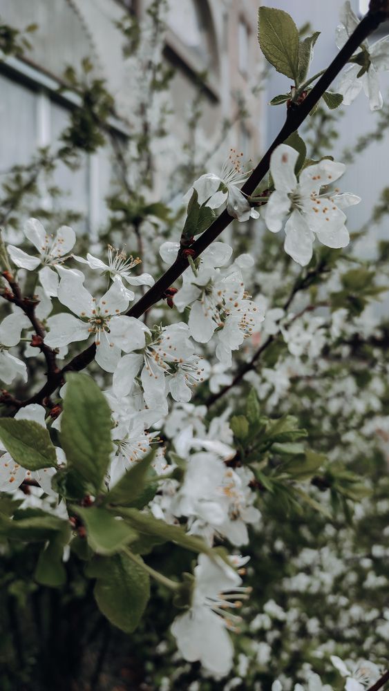 Photograph by Ирина Львова