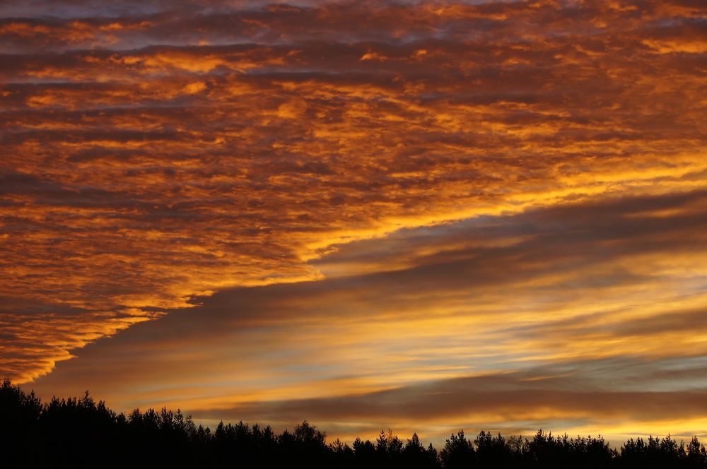 Фотография автора Галина