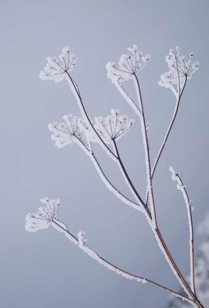 Фотография автора Галина