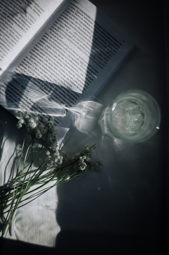 Фотография автора Наталья Вербина