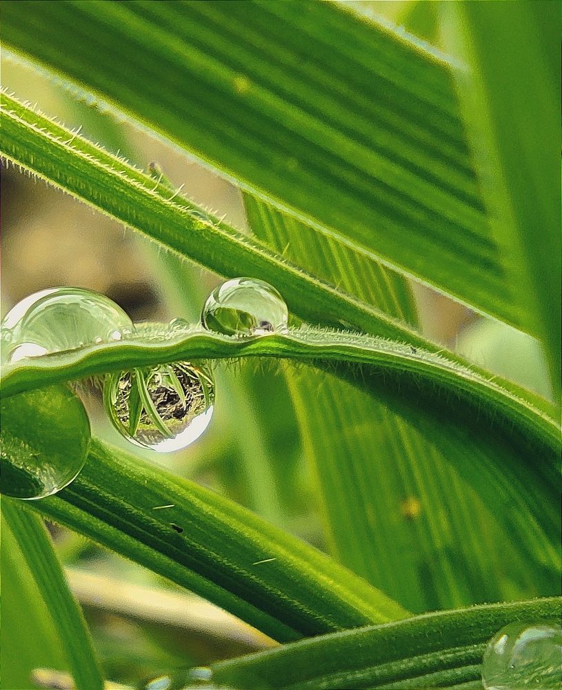 Photograph by Zeljka Miljic