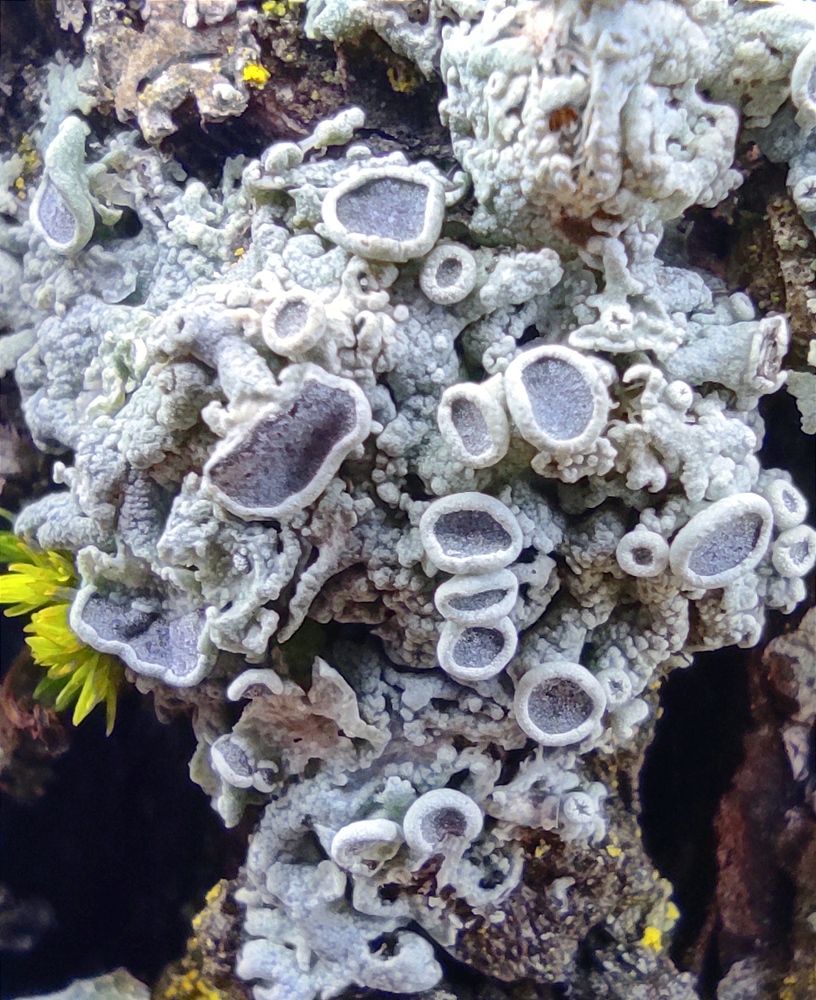 Photograph by Zeljka Miljic