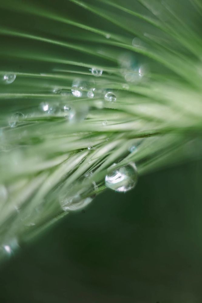 Фотография автора Наталья Вербина