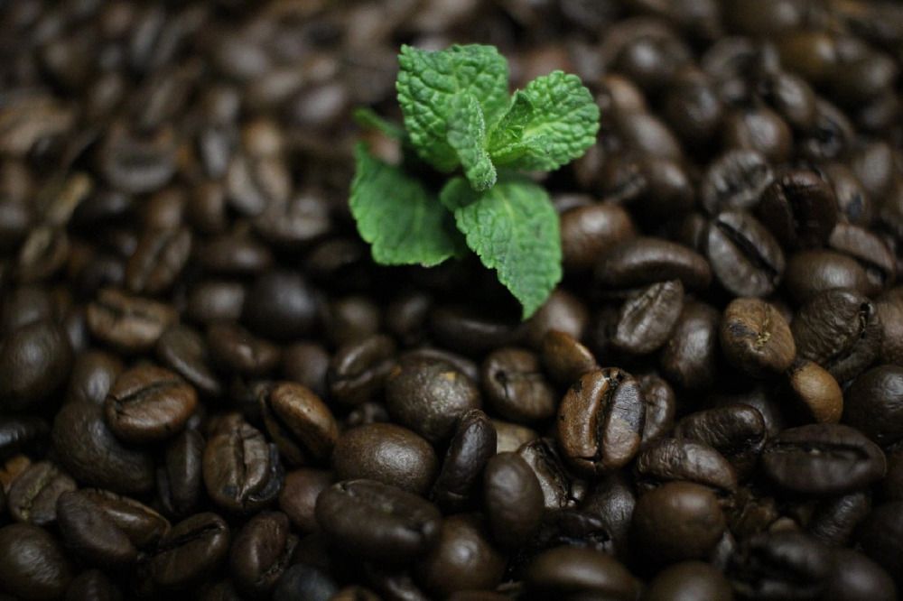 Фотография автора Наталья Вербина