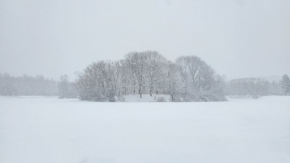 Фотография автора Галина