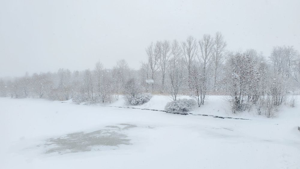 Фотография автора Галина