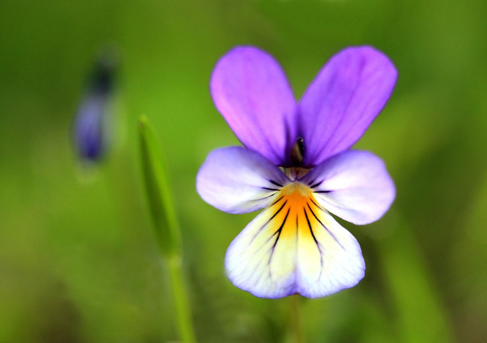 Photograph by Юрий Соколков