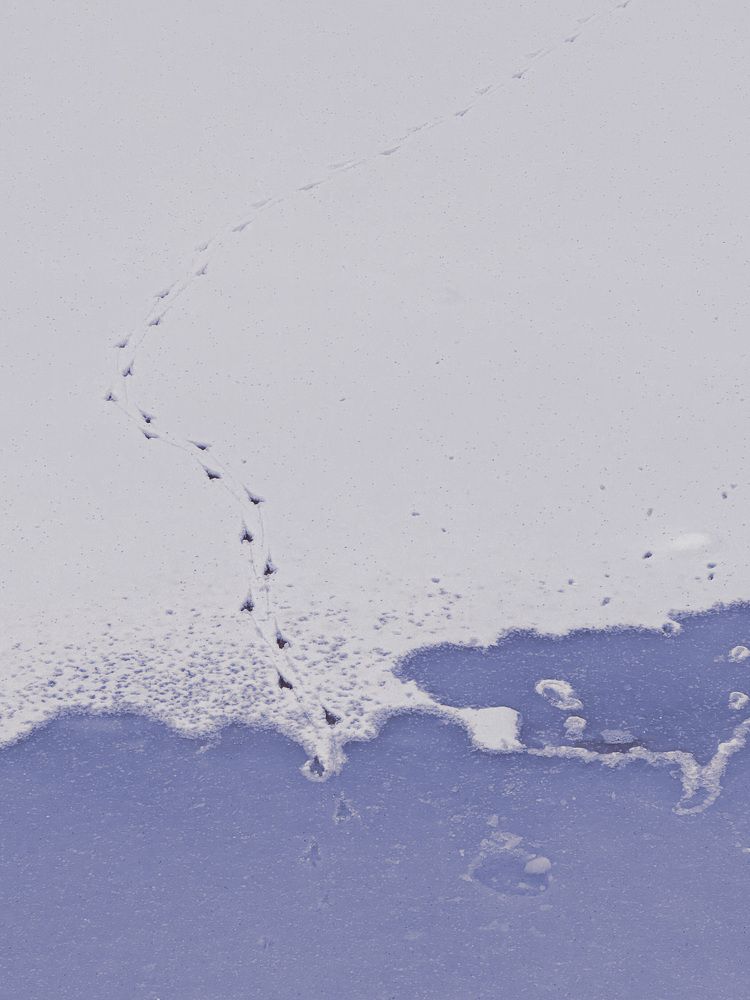 Photograph by Ольга Барулина
