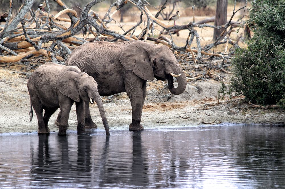 Photograph by Drora Baharal