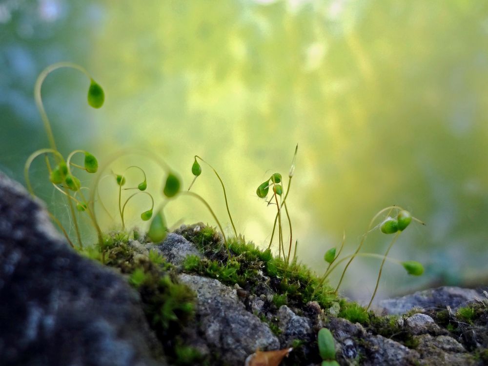 Photograph by Ксения Мироненко