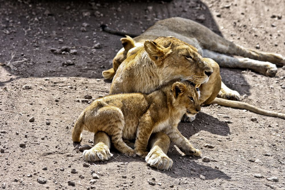 Photograph by Drora Baharal