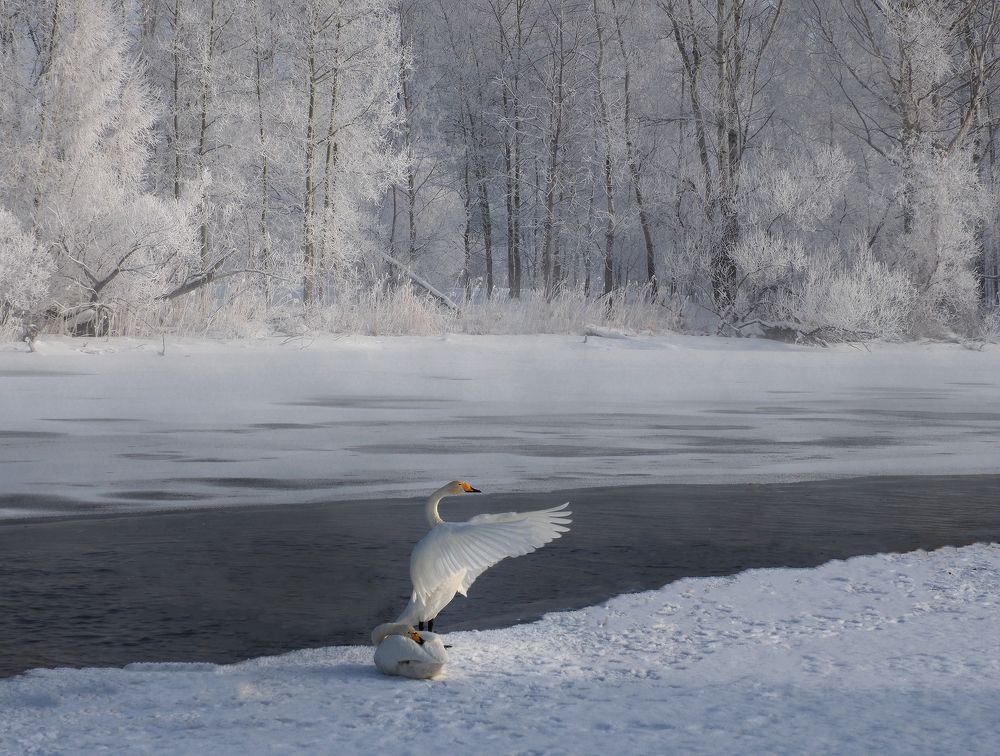 Photograph by Галина Хвостенко