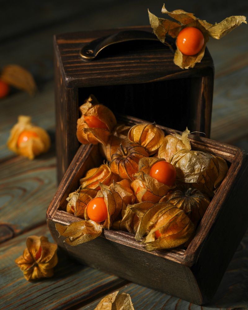 Photograph by Zhenia Mikhalchenko