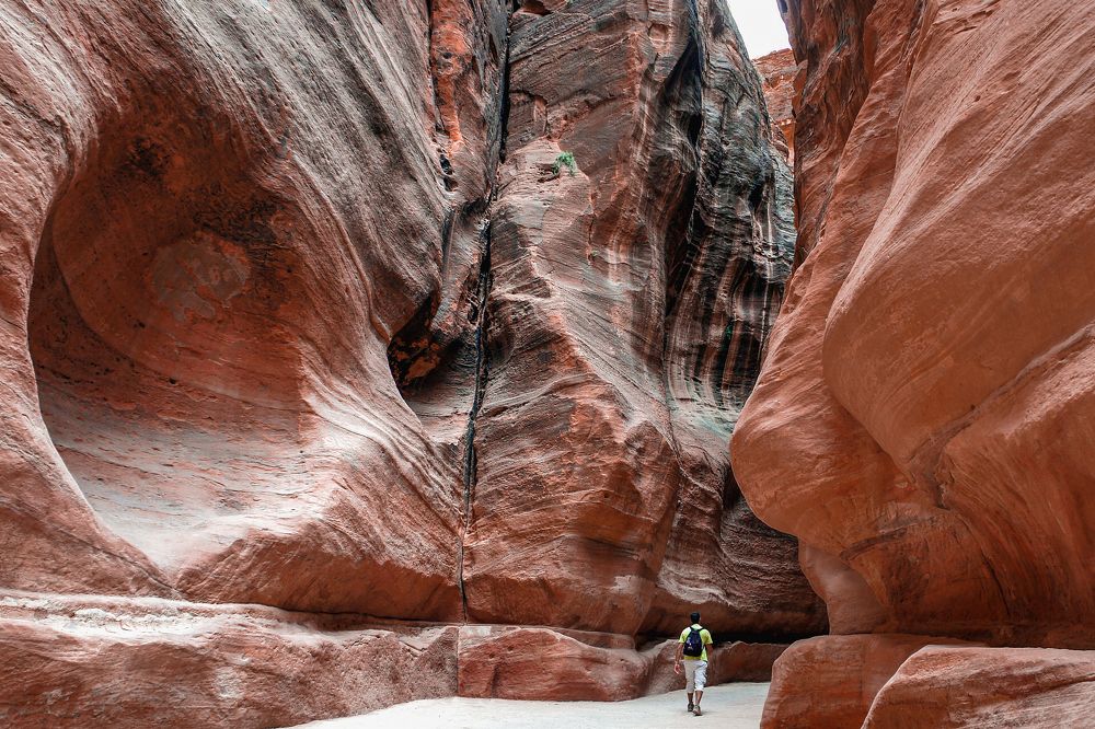 Дорога в прошлое