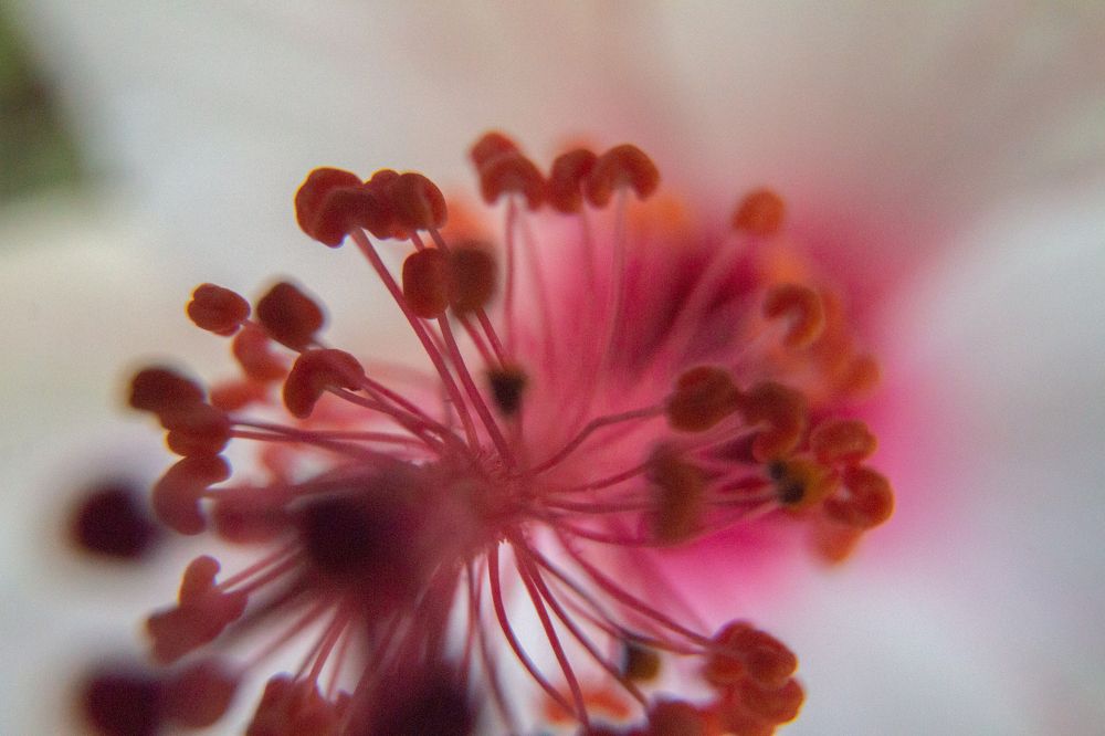 Photograph by Ken Stavrou