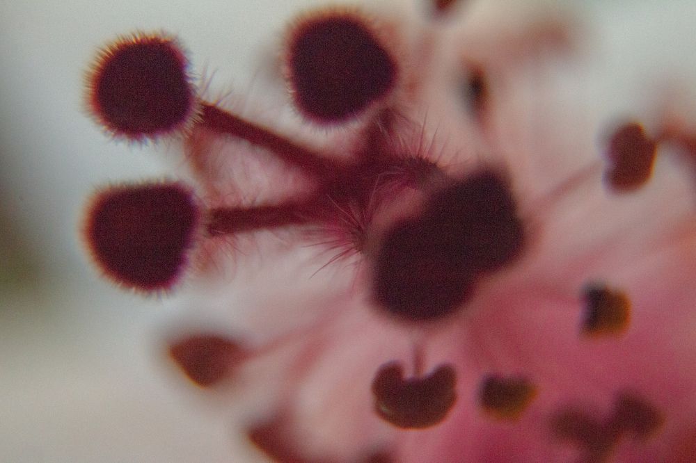 Photograph by Ken Stavrou