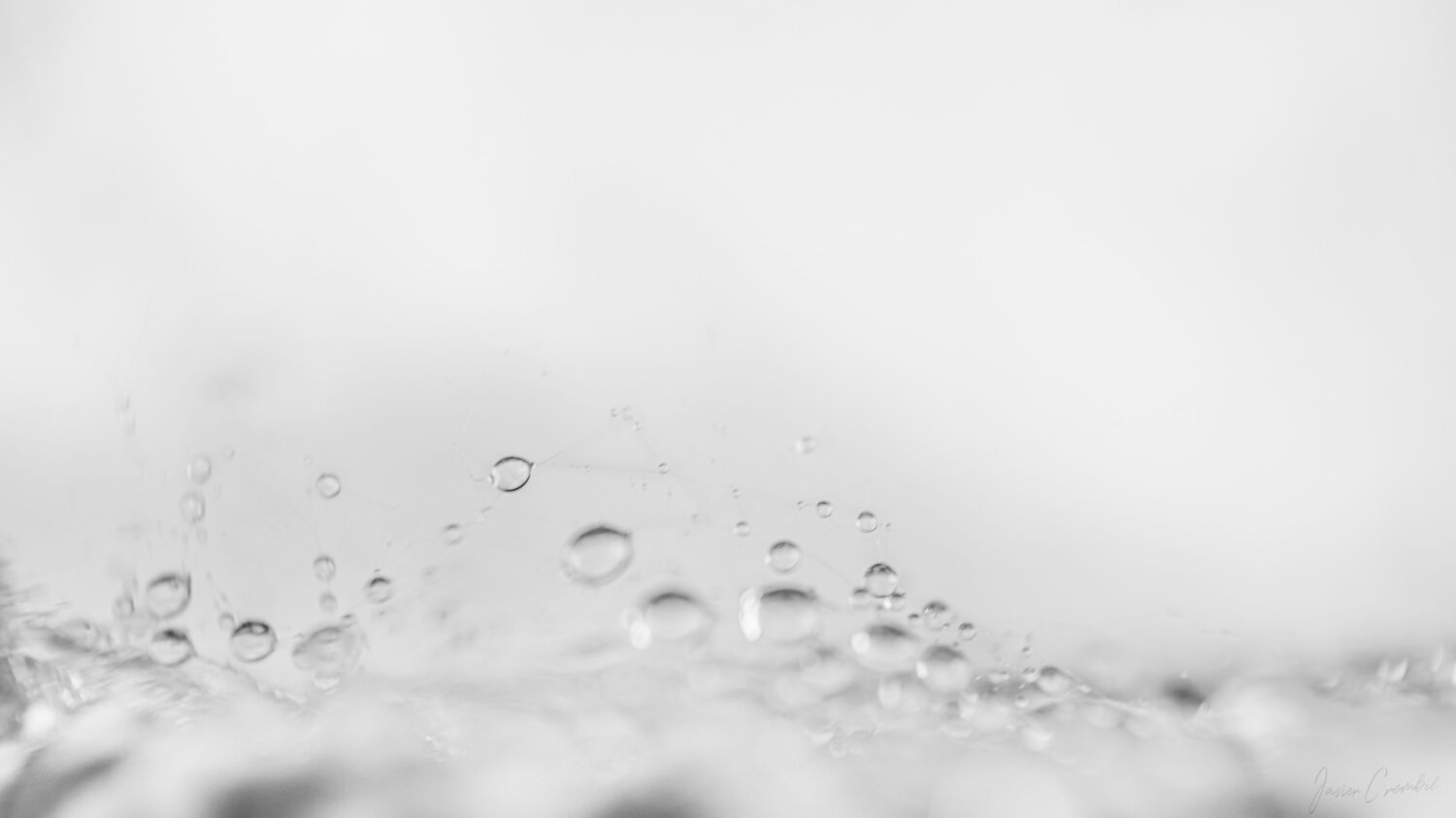Photo #9492804