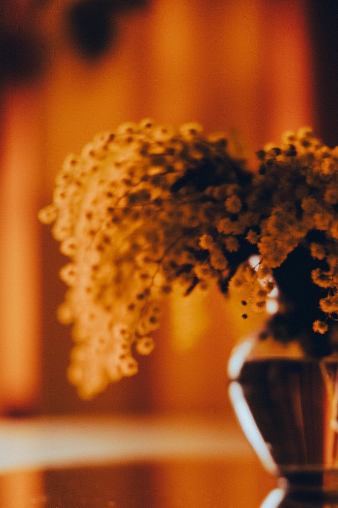 Photograph by Natalya Alekseenko