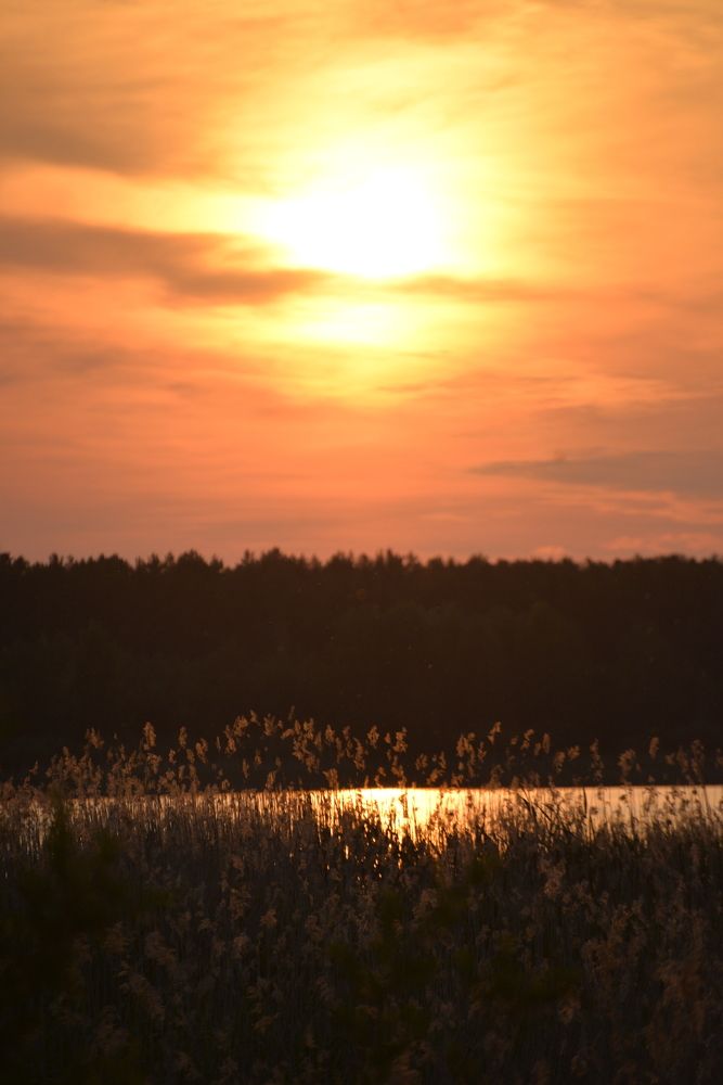 Фотография автора Ольга Круковская
