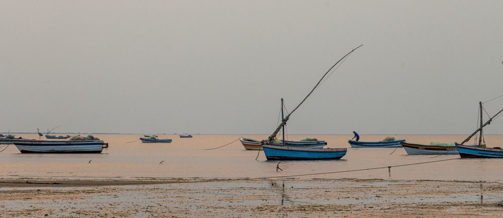 Photograph by Ken Stavrou