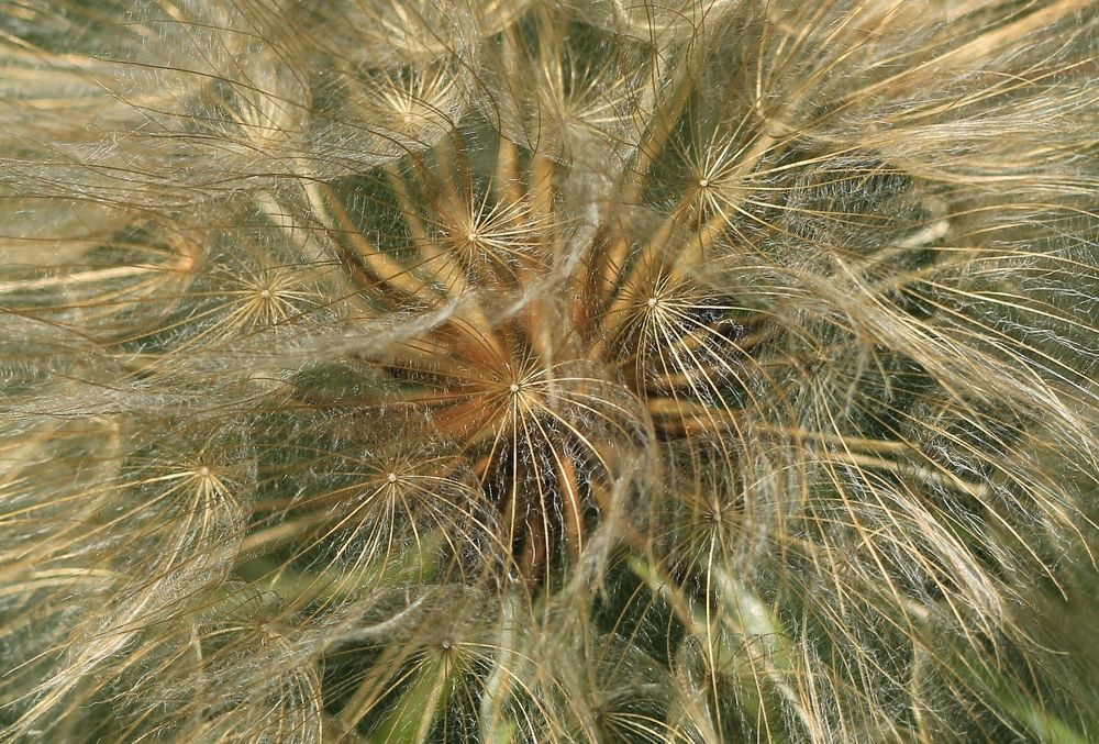 Фотография автора Олег Комарицкий