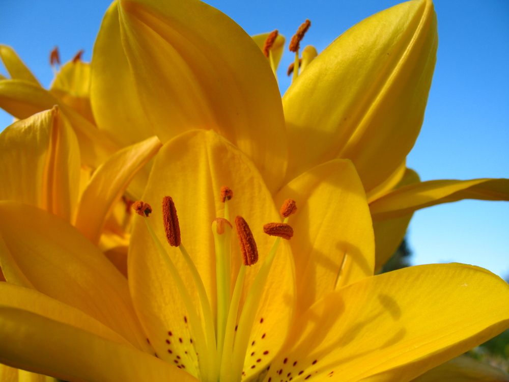 Photograph by Орл Про