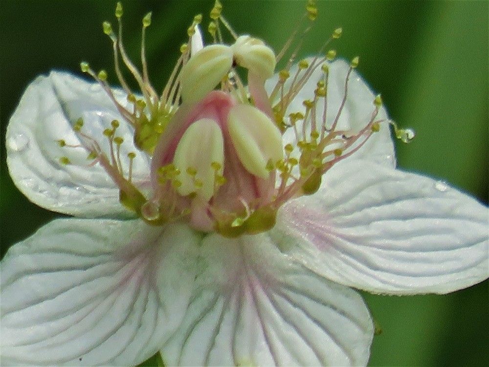 Photograph by Людмила Кононова