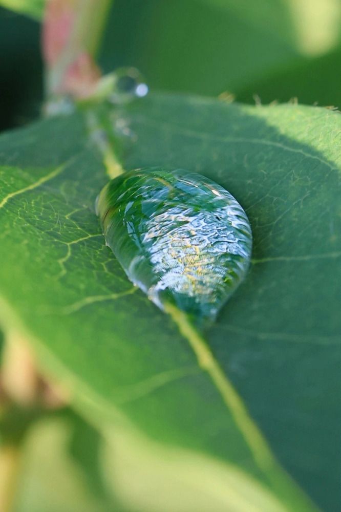 Фотография автора Галина Аверьянова