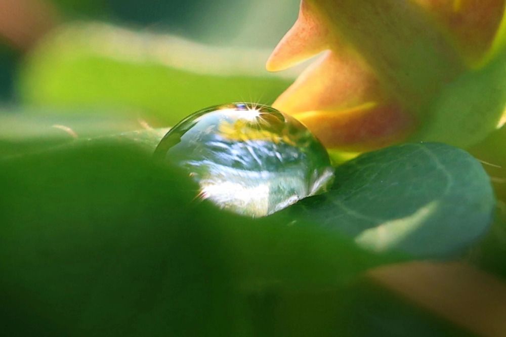 Фотография автора Галина Аверьянова