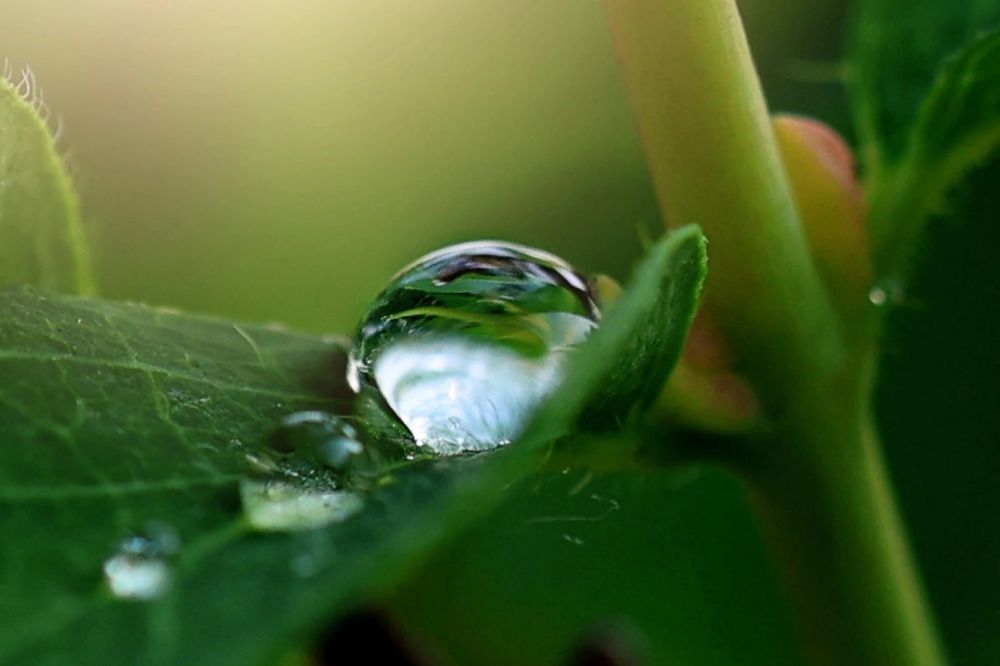 Фотография автора Галина Аверьянова