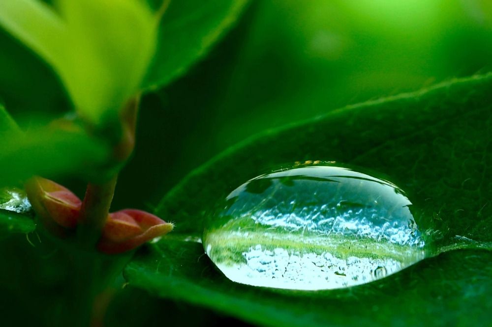 Фотография автора Галина Аверьянова