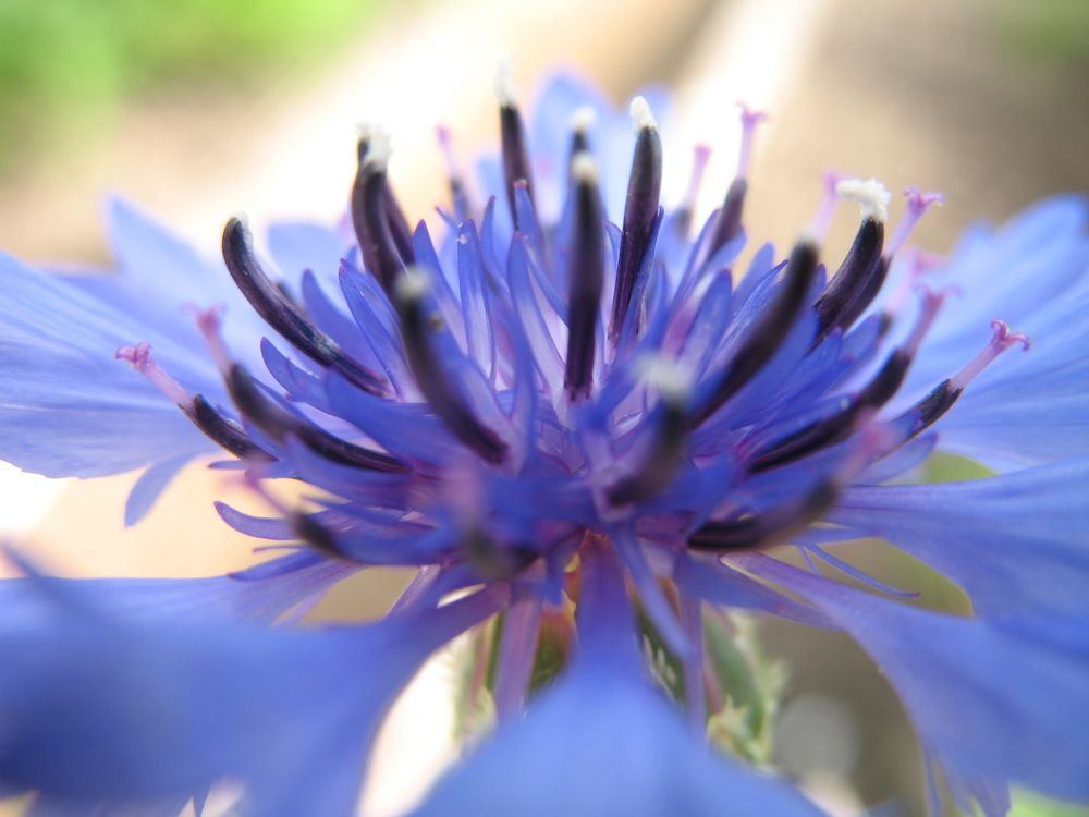 Photograph by Орл Про