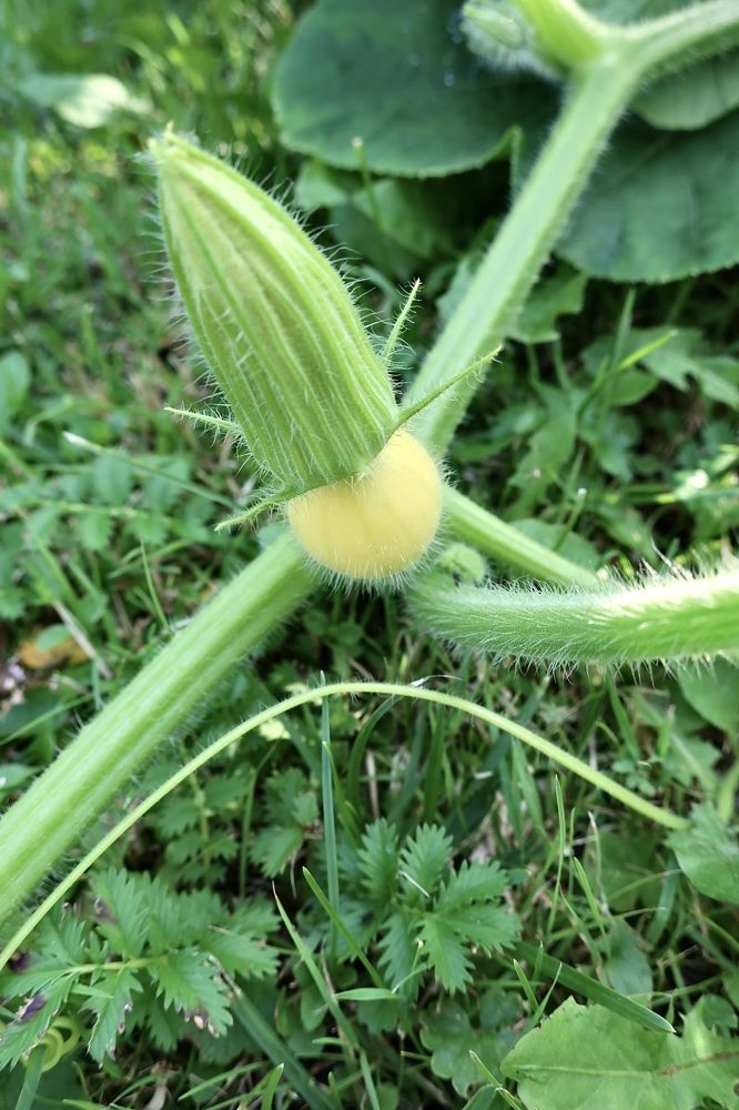 Photograph by Надежда