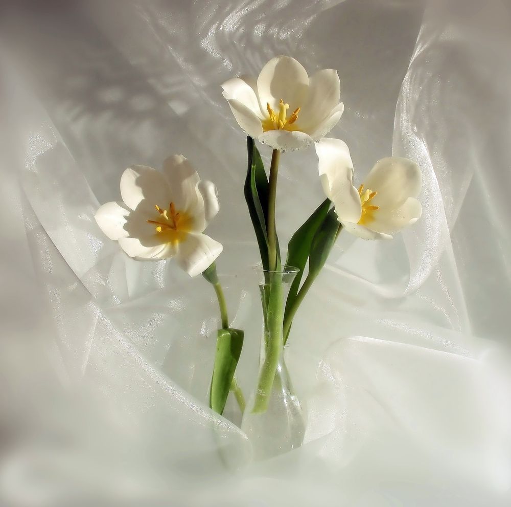 Photograph by Любовь Саханова