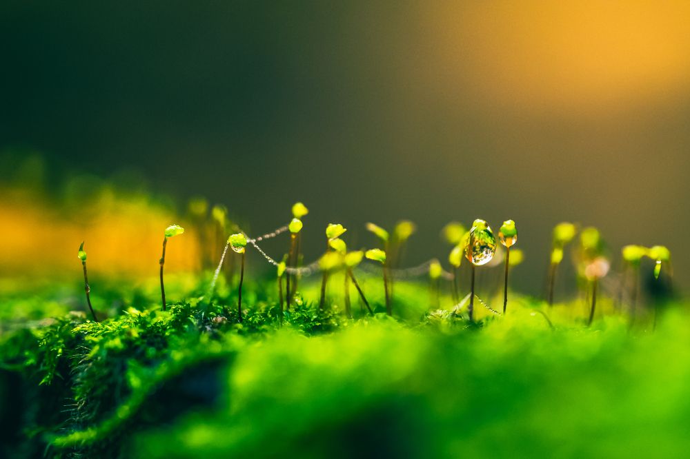 Photograph by Kamil Stępień