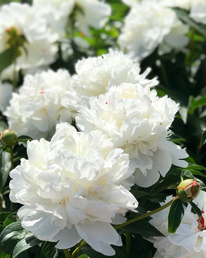 Photograph by Татьяна Волохова