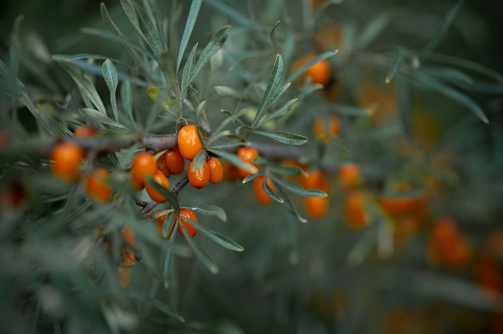 Photograph by Татьяна Бокарева