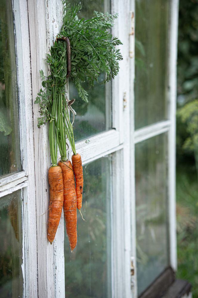 Photograph by Татьяна Бокарева