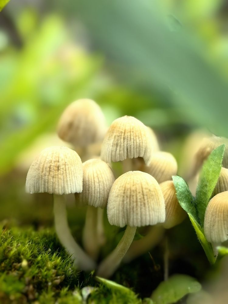 Photograph by Екатерина Романова