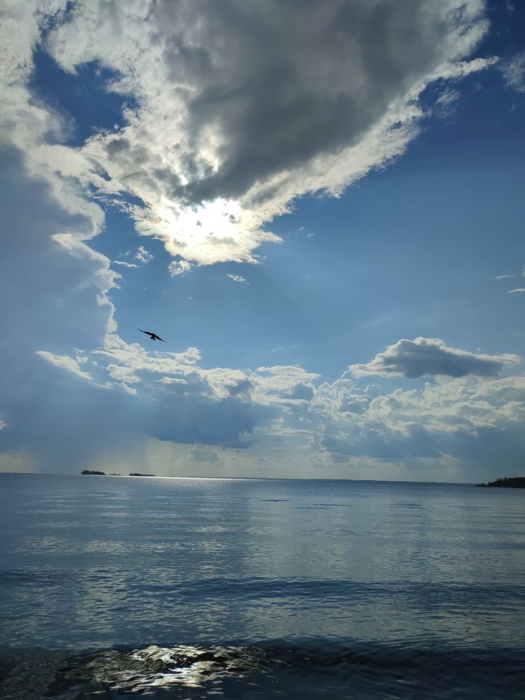 Photograph by Елена Горева