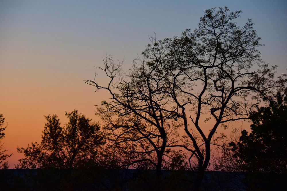 Photograph by Ирина Ри