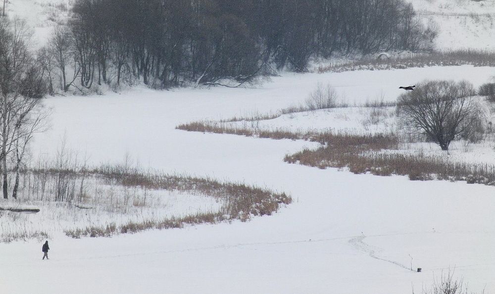 Photograph by Игорь Меньшенин