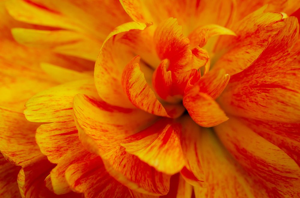 Photograph by Анастасия Кашенко