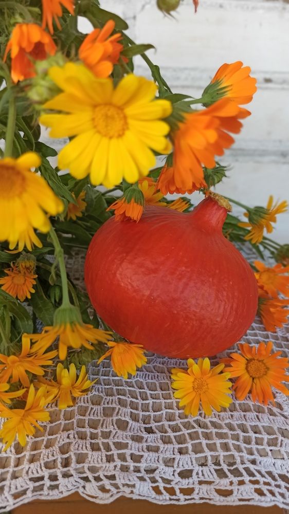 Photograph by Людмила Щуцкая