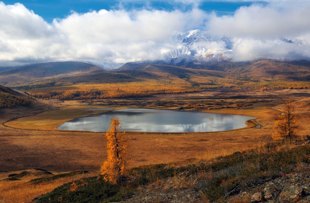 Photograph by Галина Хвостенко