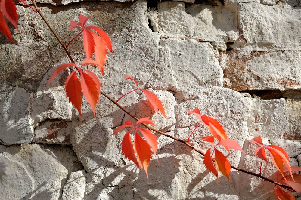 Photograph by Владимир Щеголев