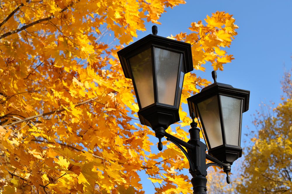 Photograph by Владимир Щеголев