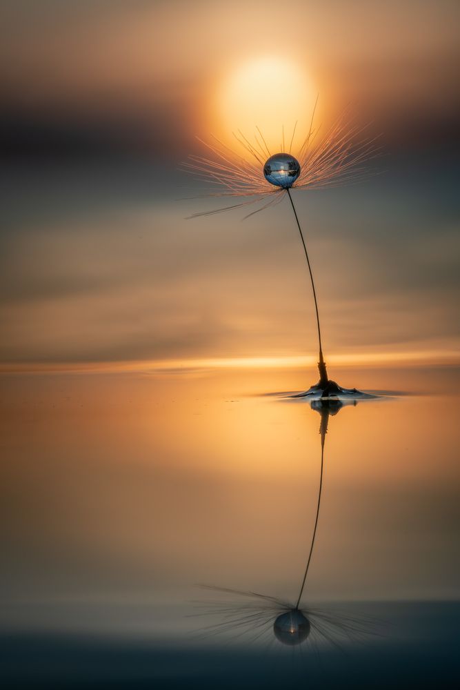 Photograph by Jānis Paļulis