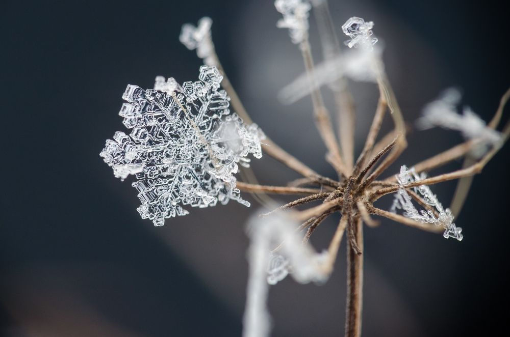 Photograph by Jānis Paļulis